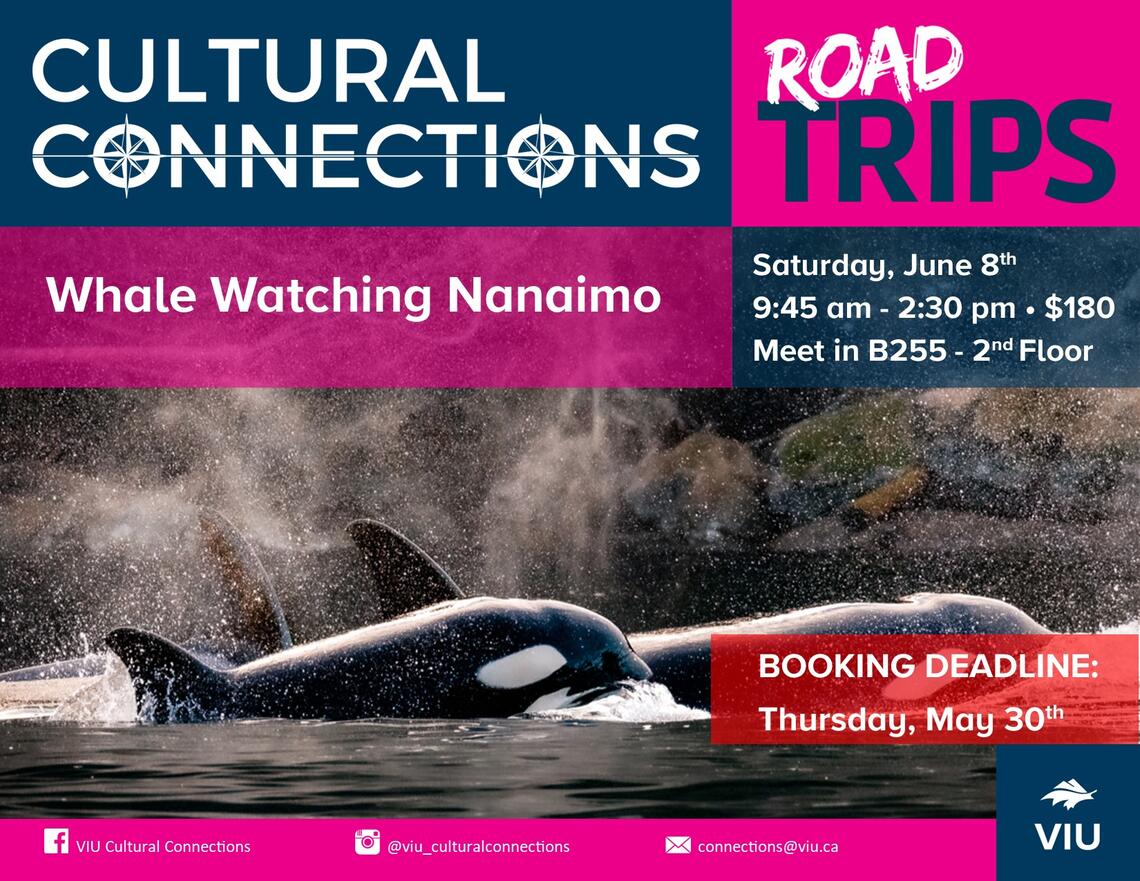 Nanaimo Whale Watching