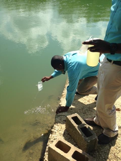 Coastal Zone Management Authority and Institute (CZMAI) employees grab sampling water