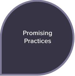Promising Practices