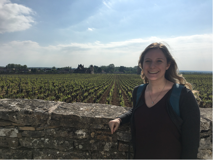 Student in front of vineyard