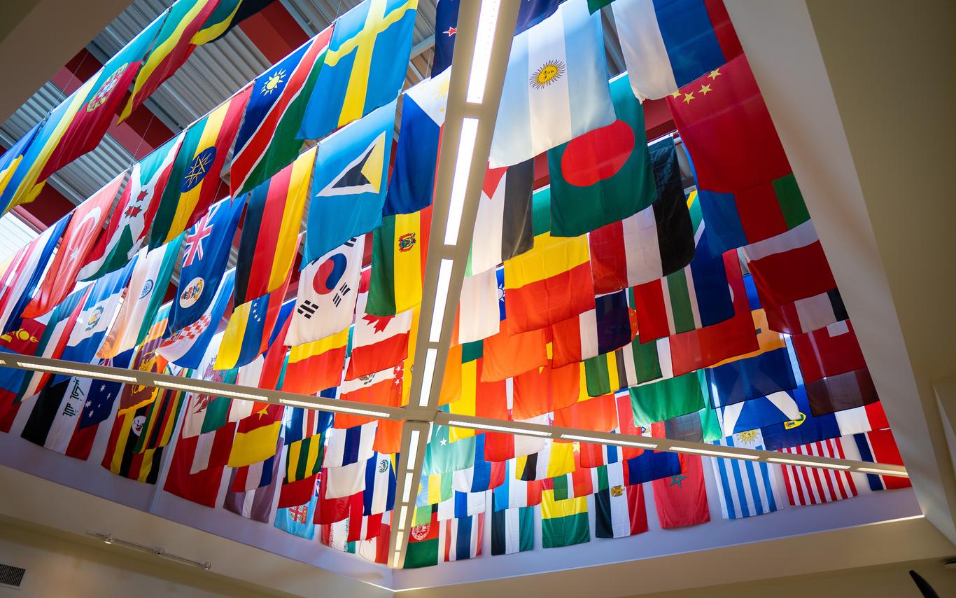 Bldg 255 - Flags