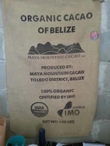 Organic Cacao of Belize